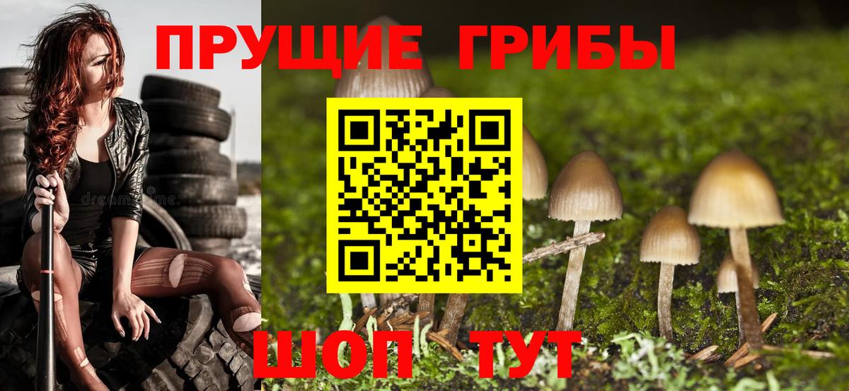 Сальск  Галлюциногенные грибы MAGIC MUSHROOMS  Вход с VPN  Галлюциногенные грибы Cubensis 