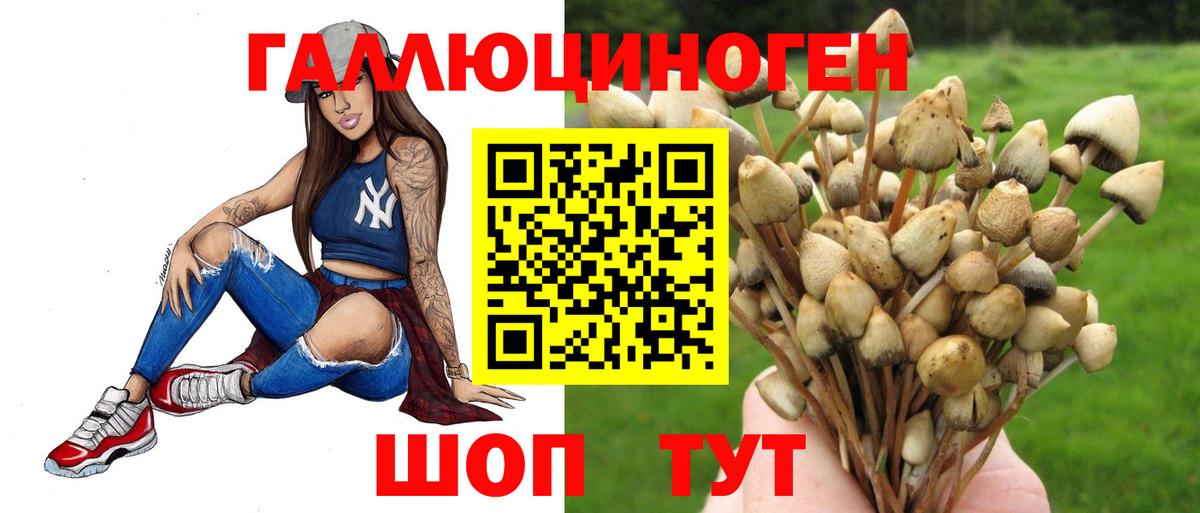 Псилоцибиновые грибы прущие грибы Сальск